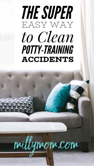 Cleaning Up After Potty Training Accidents - Home-Ec 101