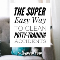 The Super Easy Way to Clean Potty-Training Accidents